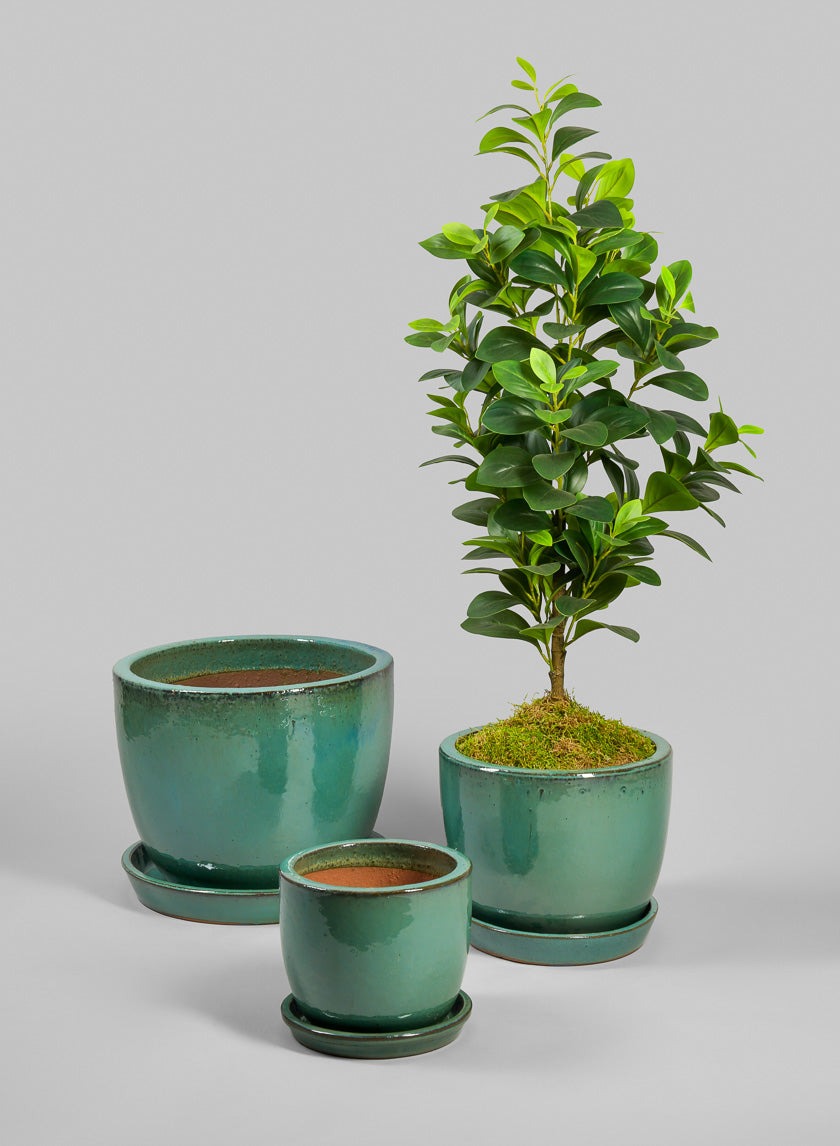 Laos Teal Glazed Planter – Jamali Garden