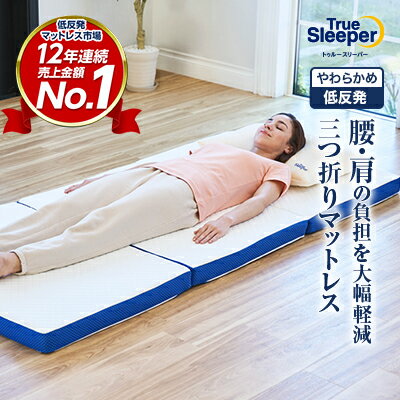 楽天市場】トゥルースリーパー ダブル（機能（寝具）低反発
