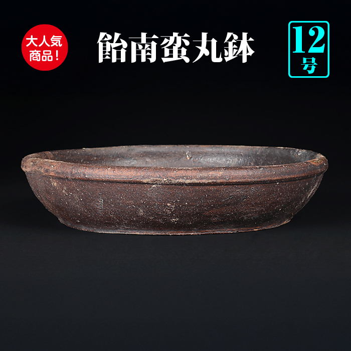現代中国鉢 | 盆栽、盆栽書籍、盆栽鉢の通販│近代出版