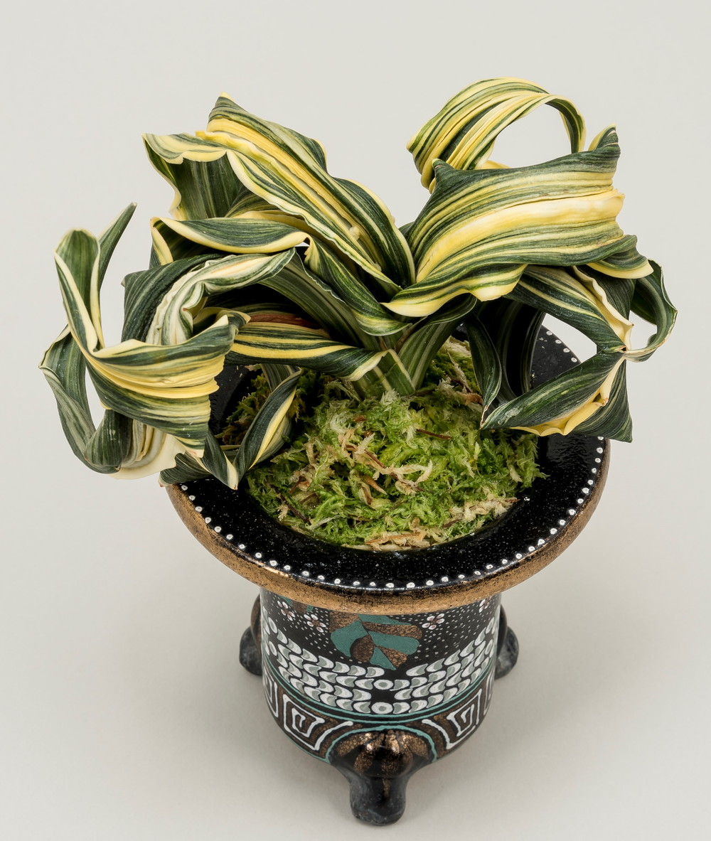 海龍獅子 (かいりゅうじし) Kailyujshi – おもとの豊明園（ほうめいえん）