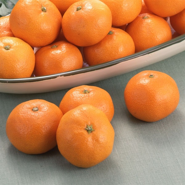 天下糖一（青島みかん）3kg 1月中旬発送開始 | 全農食品オンラインショップ