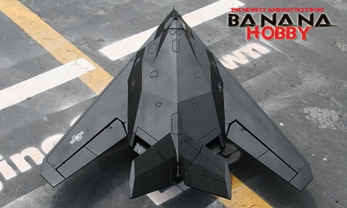 Banana Hobby - 6 CH Sky Flight Hobby F-117 Stealth Fighter V2 RC
