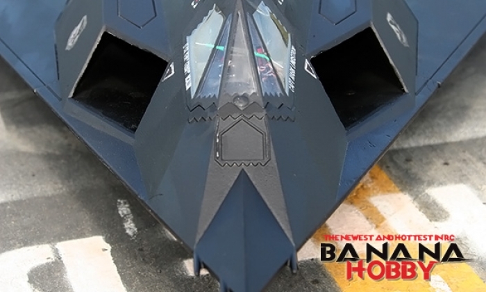 Banana Hobby - 6 CH Sky Flight Hobby F-117 Stealth Fighter V2 RC