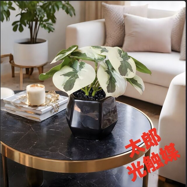 光触媒 人工観葉植物 ウォールグリーン フェイクグリーン モンステラ