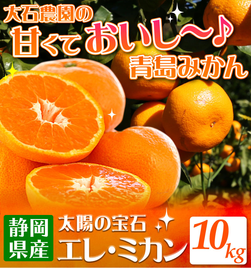 静岡県産みかんの定番 青島みかん10kg エレ・ミカン 送料無料│大五