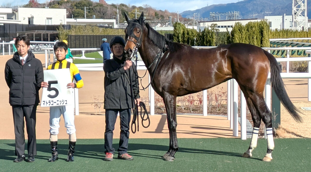 京都6R・2歳新馬】祖母にエアメサイアを持つマトラコーニッシュが