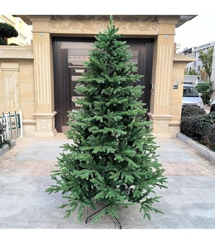 Amazon.co.jp: モミの木 本物のクリスマスツリー【樅の木1.8メートル