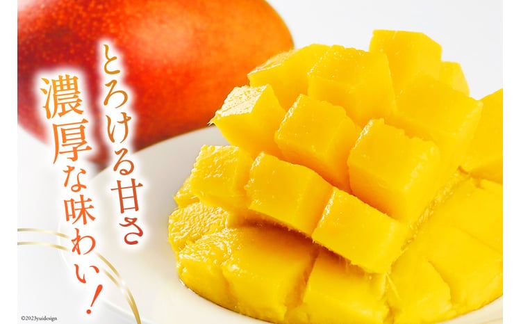 2026年夏発送】 宮崎 完熟 マンゴー 秀品 A品 4L×2玉 化粧箱入り [宮崎