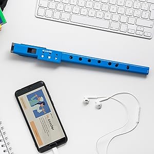 Amazon | アルティノイズ(ARTinoise) 【専用ケース付き】ARTinoise