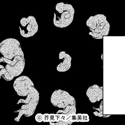 呪術廻戦】呪胎九相図とは？虎杖悠仁とは兄弟？九相図の母親についての