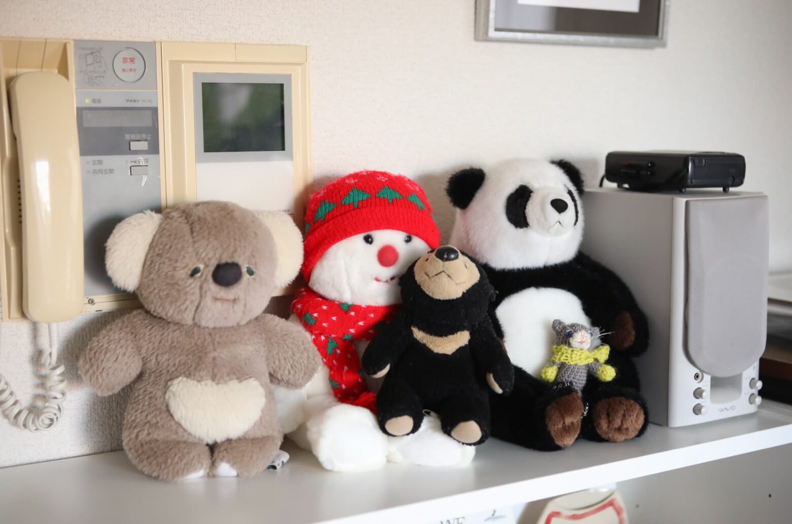ぬいぐるみ作家 そぼろさんインタビュー vol.2 動物をデフォルメする