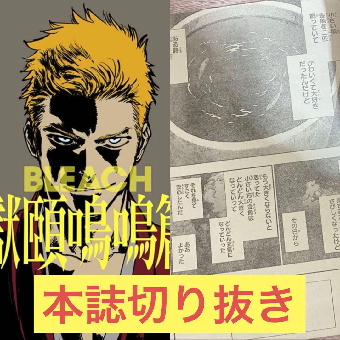 bleach ブリーチ　獄頤鳴鳴篇　本誌　切り抜き　黒崎一護 BLEACH』読切「NEW BREATHES FROM HELL 獄頤鳴鳴篇」の感想・考察