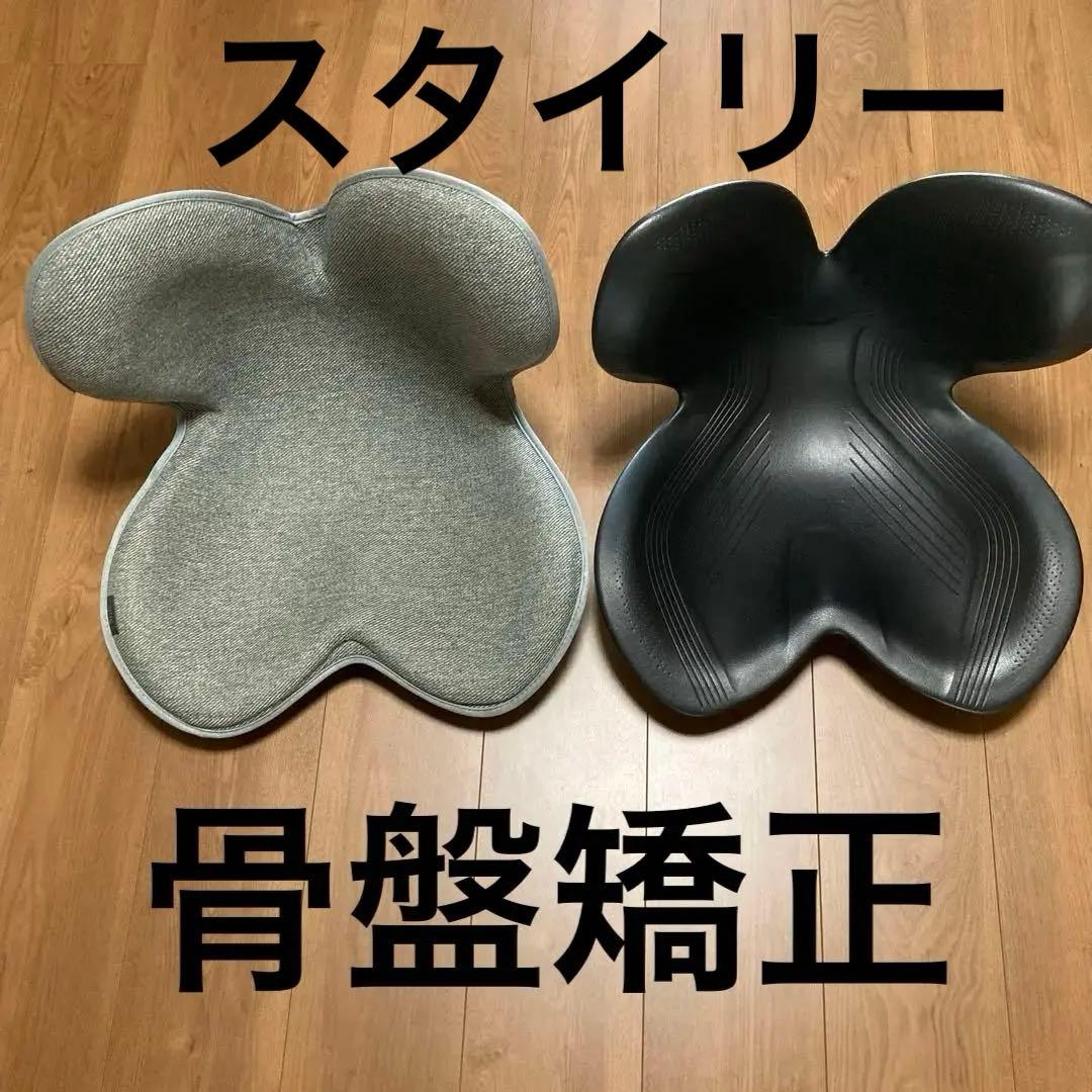 スタイリー骨盤矯正　姿勢矯正チェアー2個セット 姿勢サポートチェア 骨盤サポートチェア 椅子 姿勢矯正 骨盤 サポート