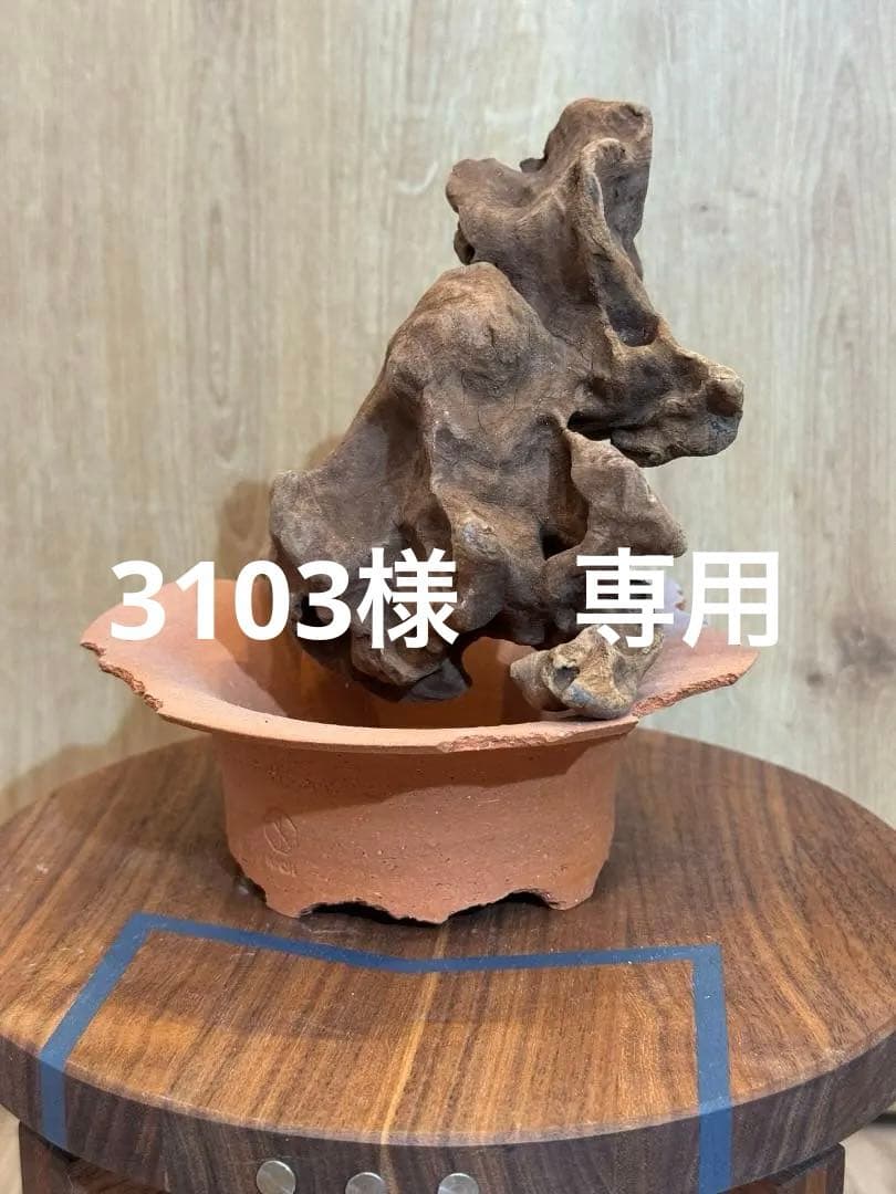 N/OH　ラン鉢　SS N/OH / ラン鉢 / dripping / W.呉 / SS (4号) no.215-2