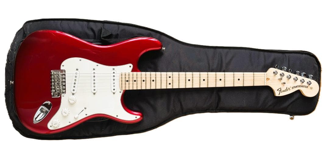 S*E様 Fender American Special Stratocaste Fender American Special Stratocaster Electric Guitar with Maple